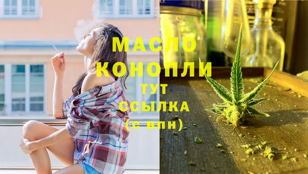 гидра Няндома