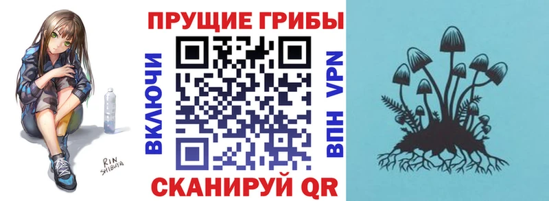 ОМГ ОМГ онион  Чегем  Галлюциногенные грибы Magic Shrooms 